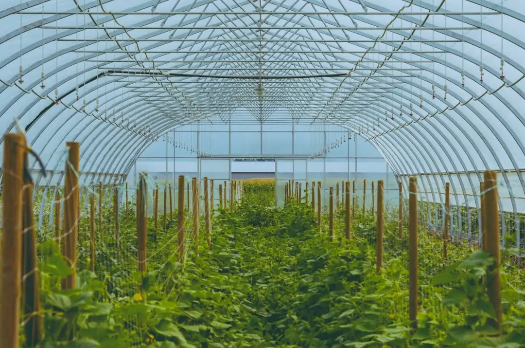 智能交互式教学设备在山东高校课堂中的应用案例分享