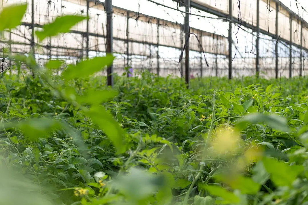 智慧教育背景下山东中小学教学设备升级的实践路径分析