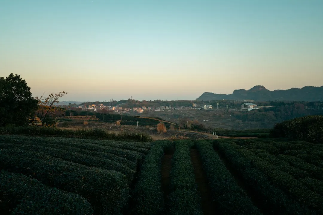 山东智教岛智慧教室解决方案：从设备选型到教学场景落地的完整路径